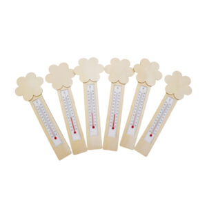 „Pasidaryk pats“ termometro gėlių rinkinys, 6 vnt.